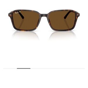 Ray-Ban Dark Brown Sunglasses with Black Case